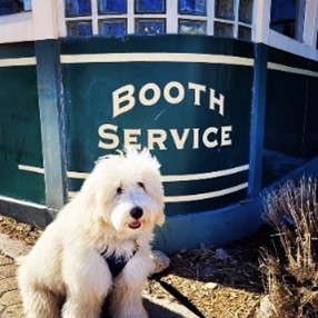 Dog friendly restaurants in Truckee Tahoe